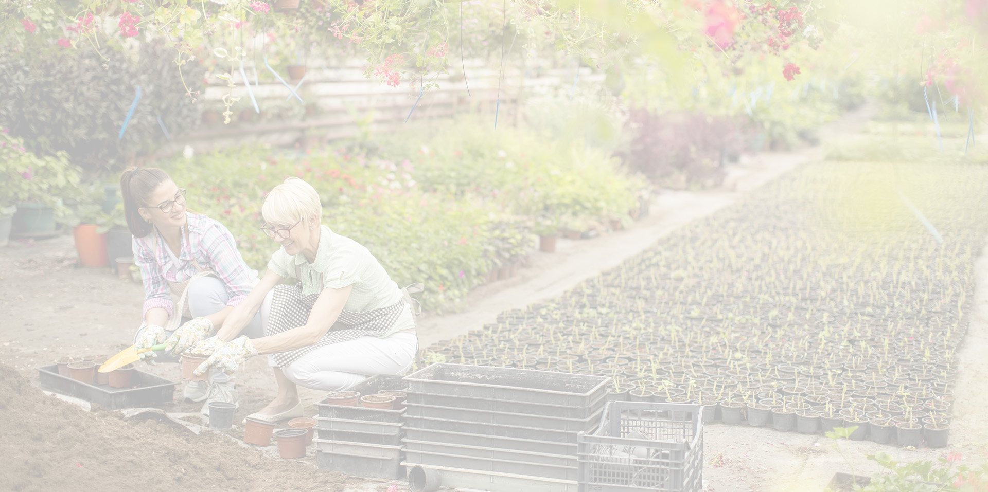 bien amenager son jardin