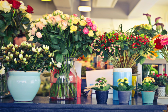 pots de fleurs