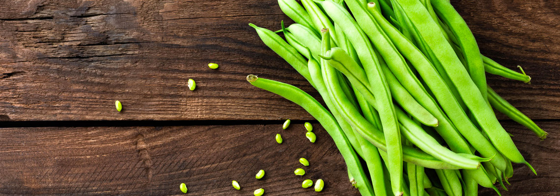 cultiver des haricots nains dans le potager